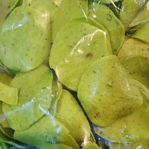 Palak Papad